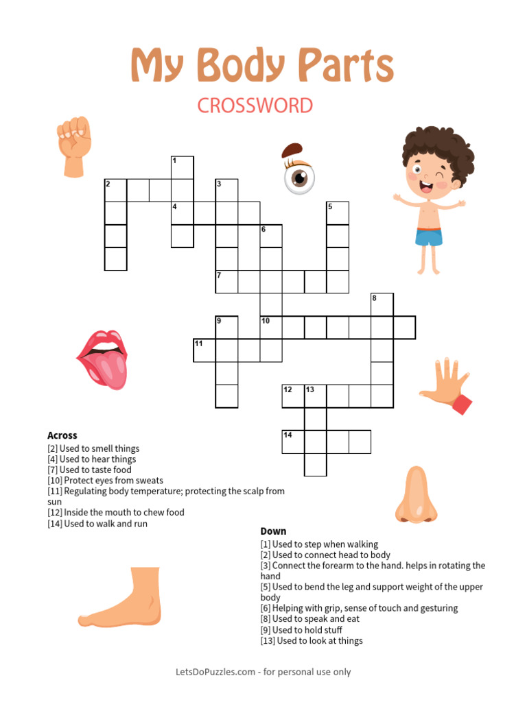 Body Parts Crossword Puzzle Answers PDF