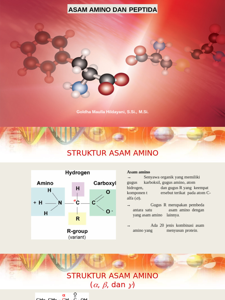 Asam Amino - Peptida | PDF