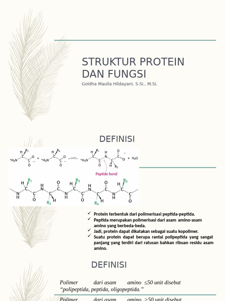 Struktur Protein | PDF