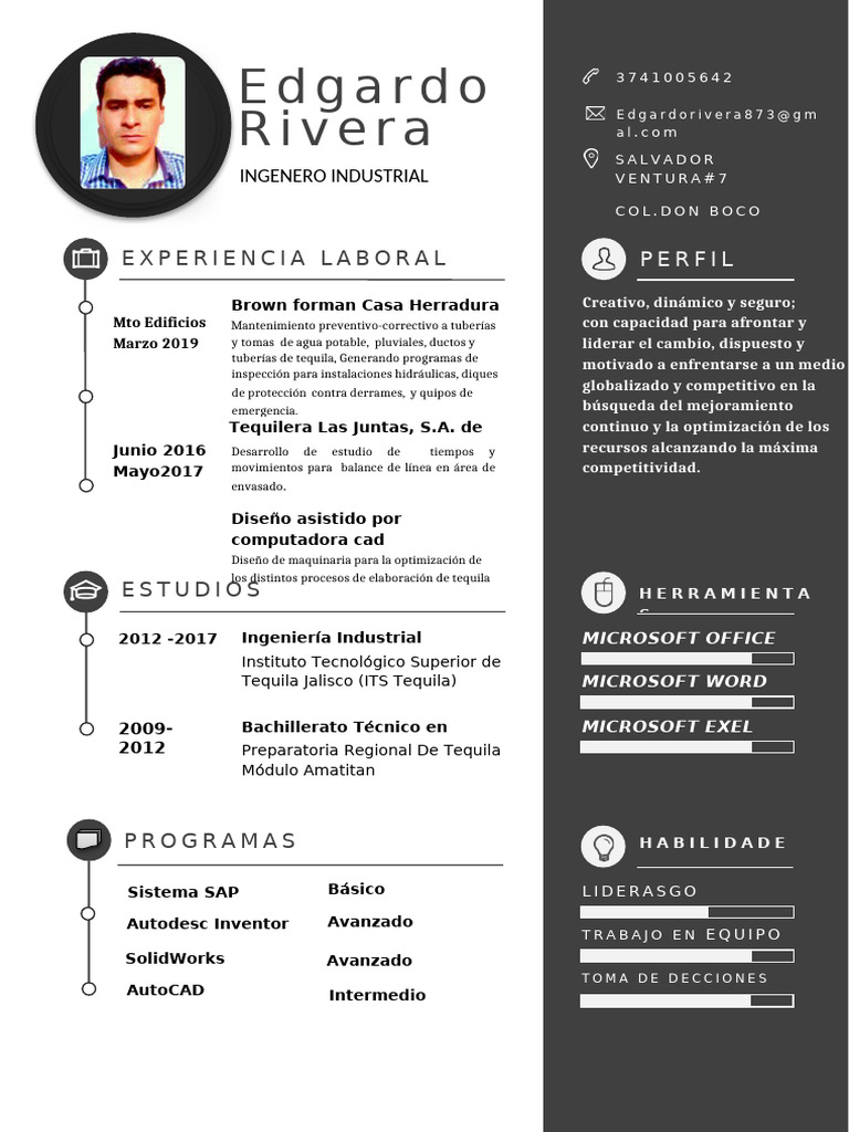 Perfil Profesional de Edgardo Rivera | PDF | Ingeniería | Informática