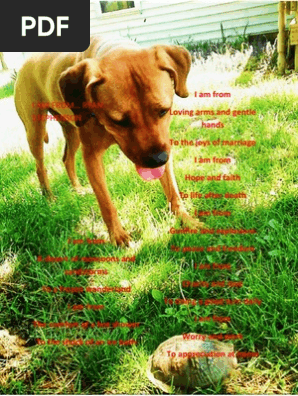 I AM FROM poem