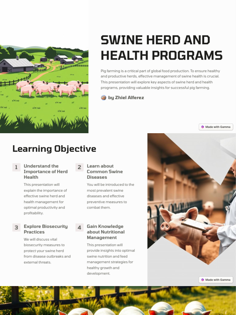 Swine Herd Health Management Insights | PDF | Pig | Hygiene