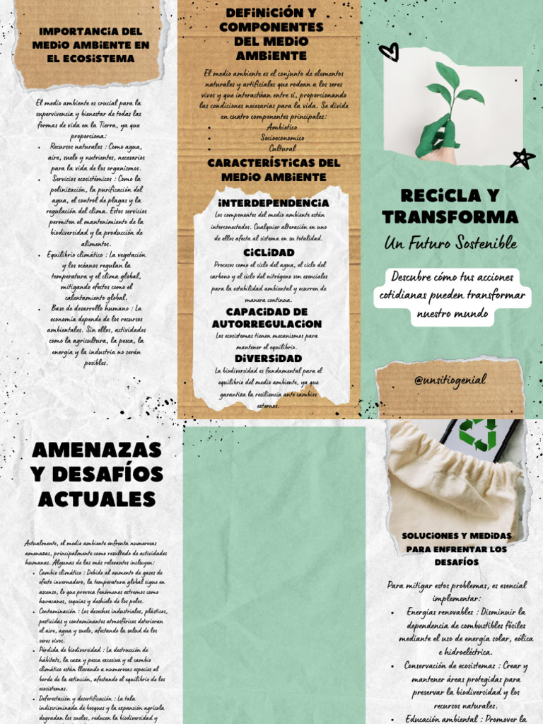 Importancia del Medio Ambiente y Retos | PDF | Entorno natural ...