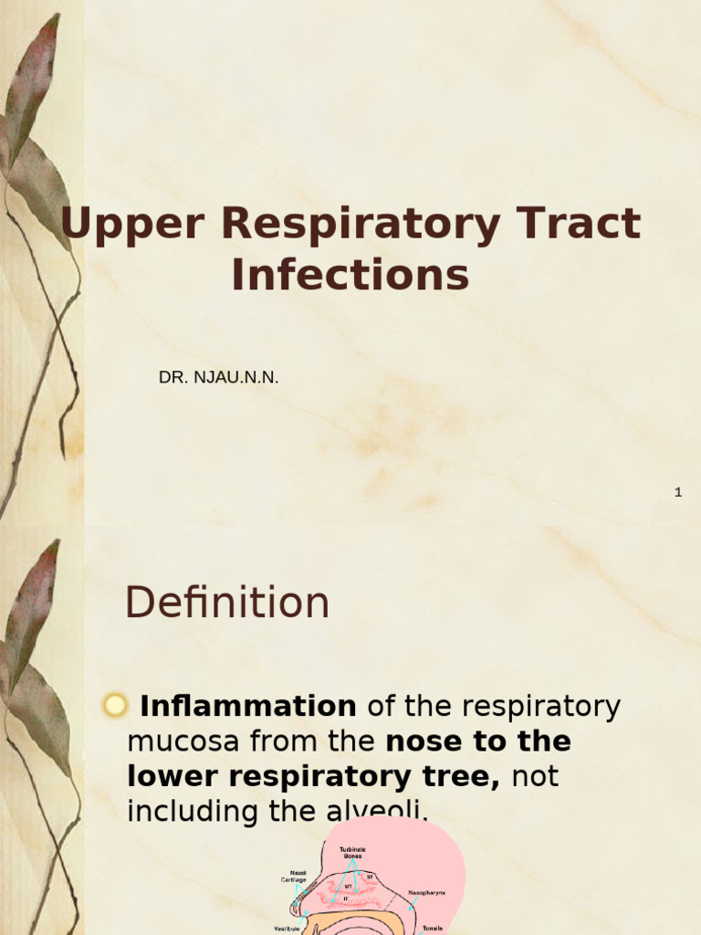 Upper Respiratory Tract Infections Guide | PDF | Common Cold ...