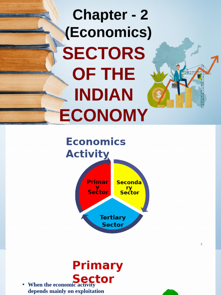 Sectors of the Indian Economy Explained | PDF | Employment | Overtime