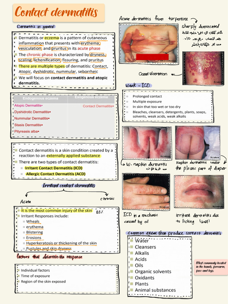 Dermatology Dermatitis | PDF | Dermatitis | Allergy