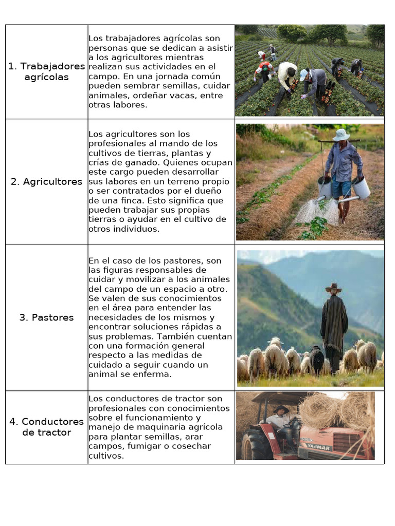 Trabajos Rurales | PDF | Agricultura | Alimentos