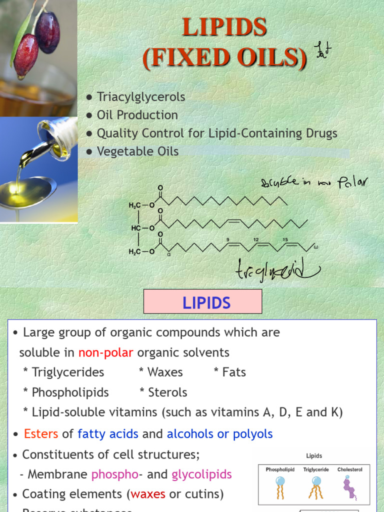 Lipids (Fixed Oils) : Triglit | PDF | Triglyceride | Fatty Acid