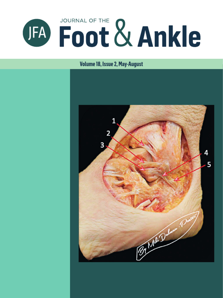 Journal of The Foot | PDF | Ankle | Musculoskeletal System