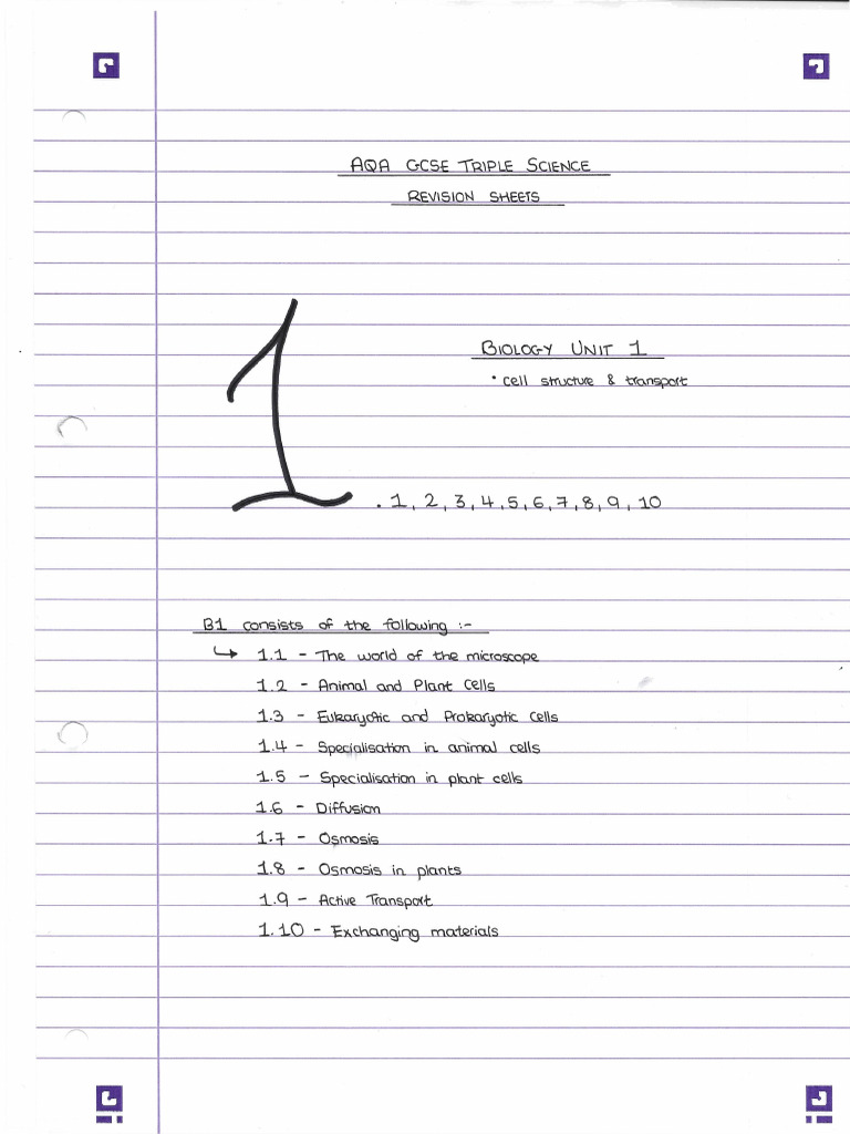 B1 Revision Sheets Pdf