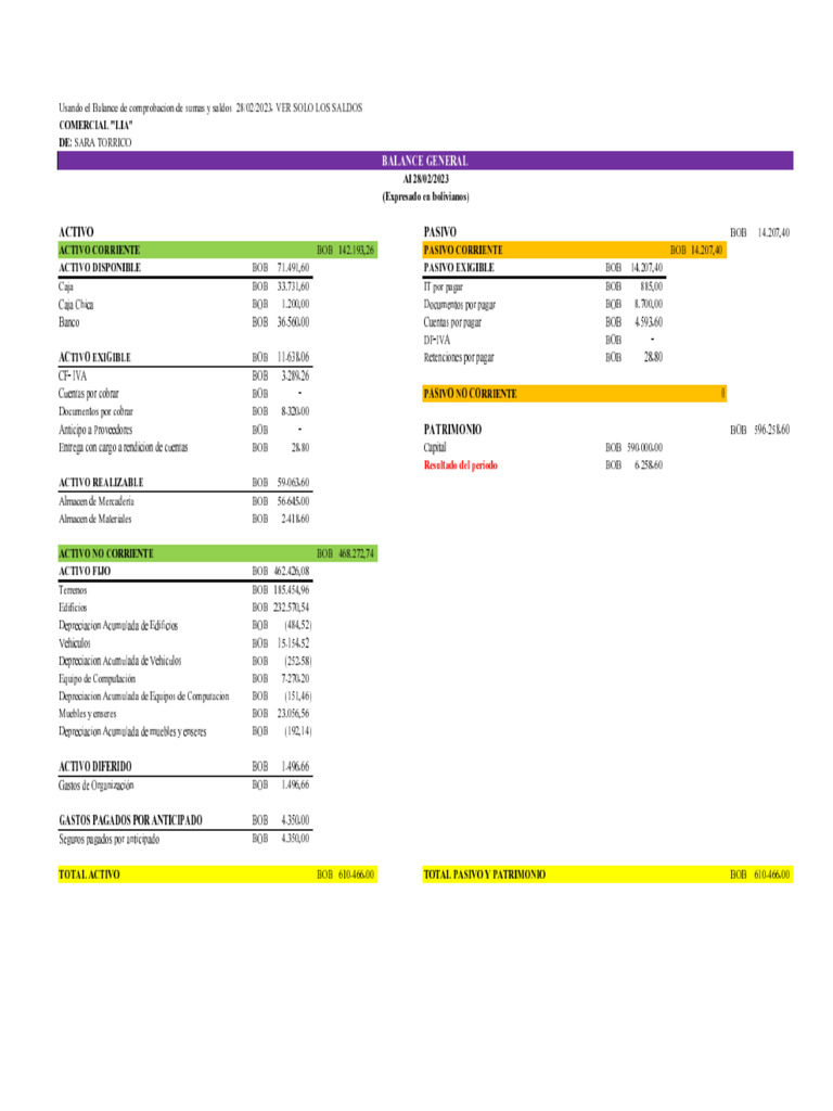 Balance General | PDF | Hoja de balance | Economía Financiera