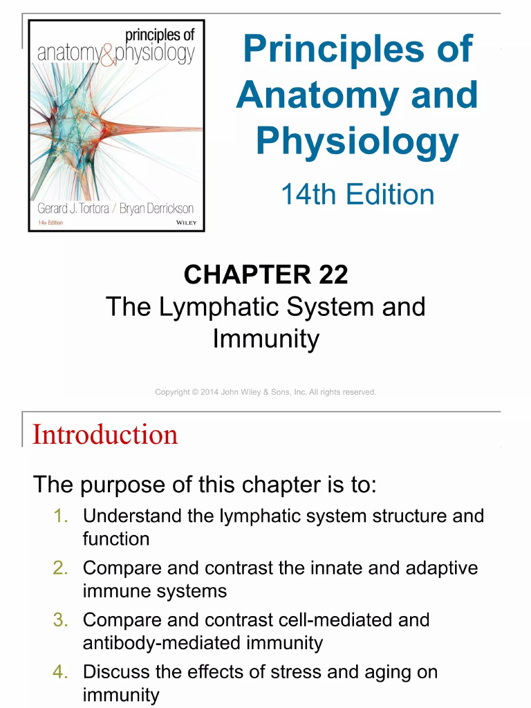 22 Chapter 22 The Lymphatic System and Immunity 1 2048 | PDF
