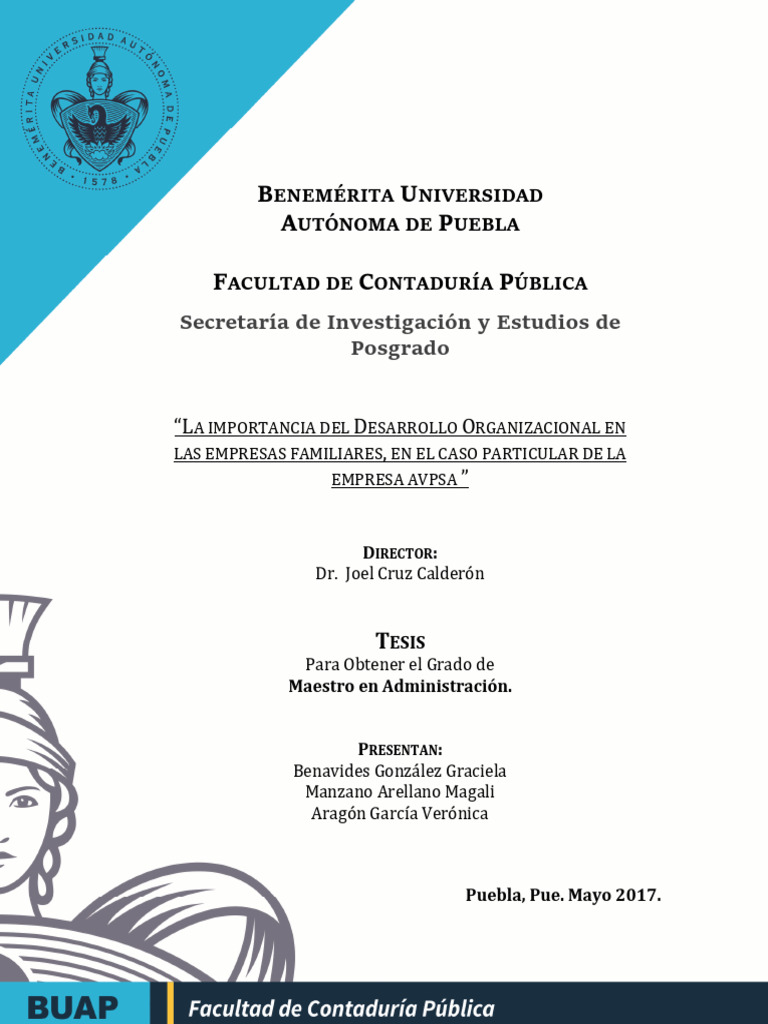 Importancia Del Desarrollo Organizacional | PDF | Business | Familia