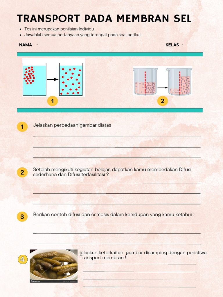 Transport Membran: Difusi dan Osmosis | PDF