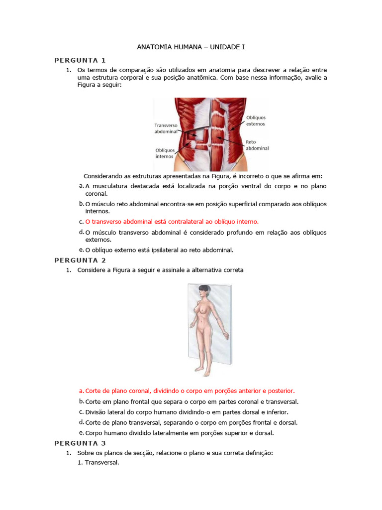 Termos e Planos na Anatomia Humana | PDF
