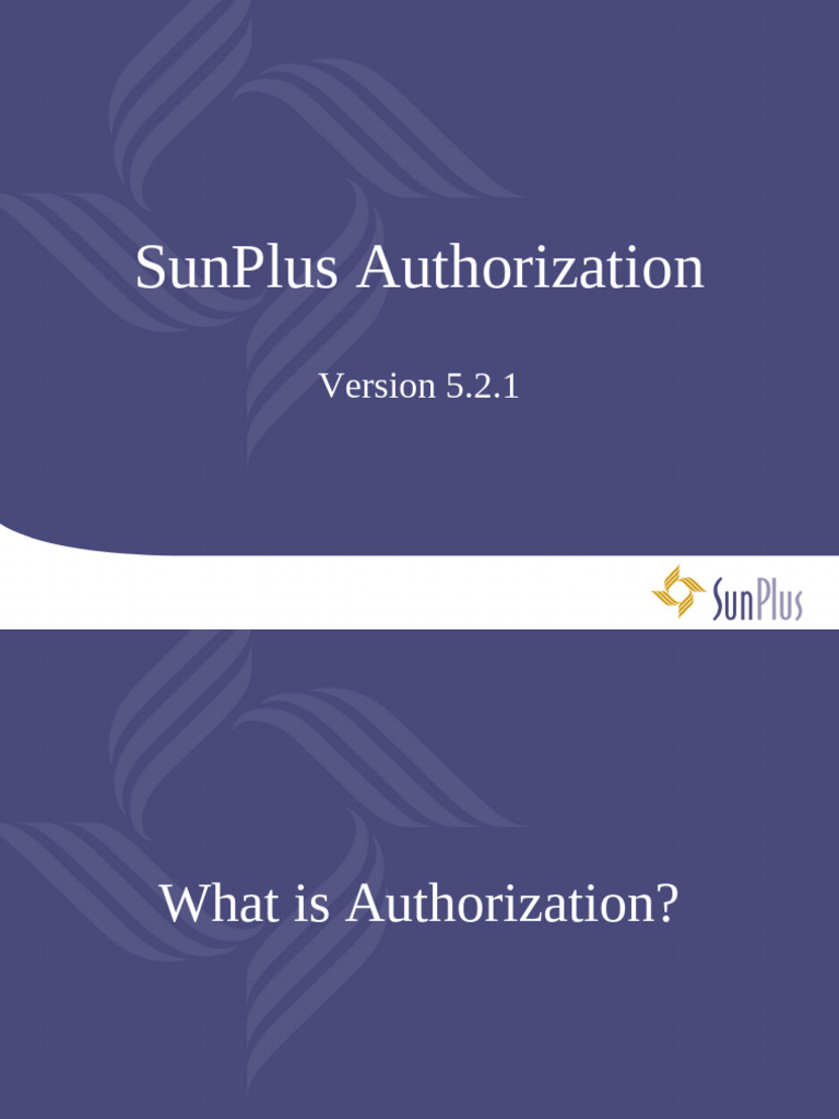 SunPlus Authorization Process Guide | PDF | Password | Software Engineering