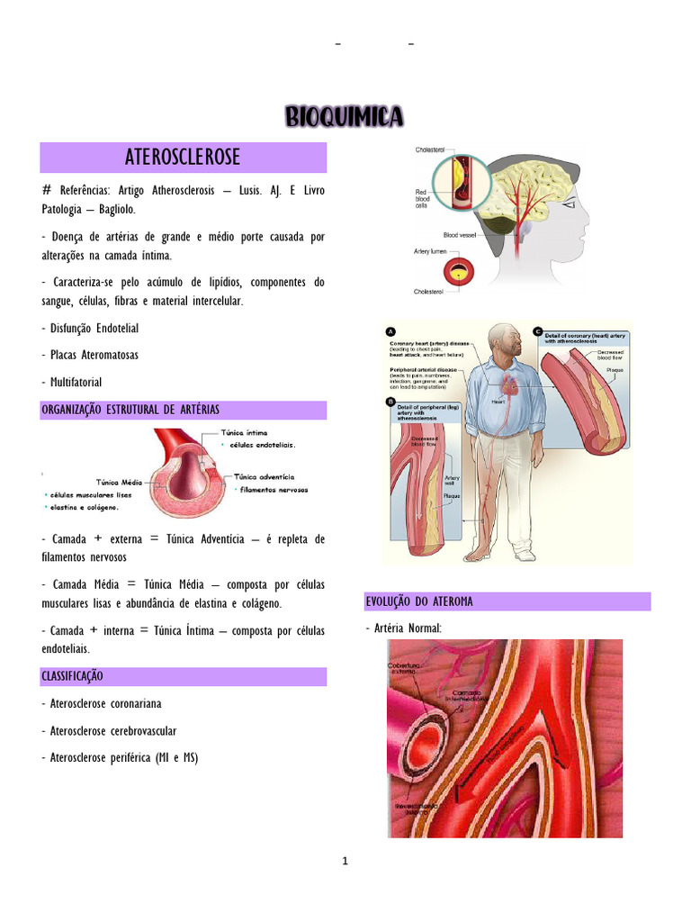 Disfunção Endotelial na Aterosclerose | PDF | Endotélio | Aterosclerose