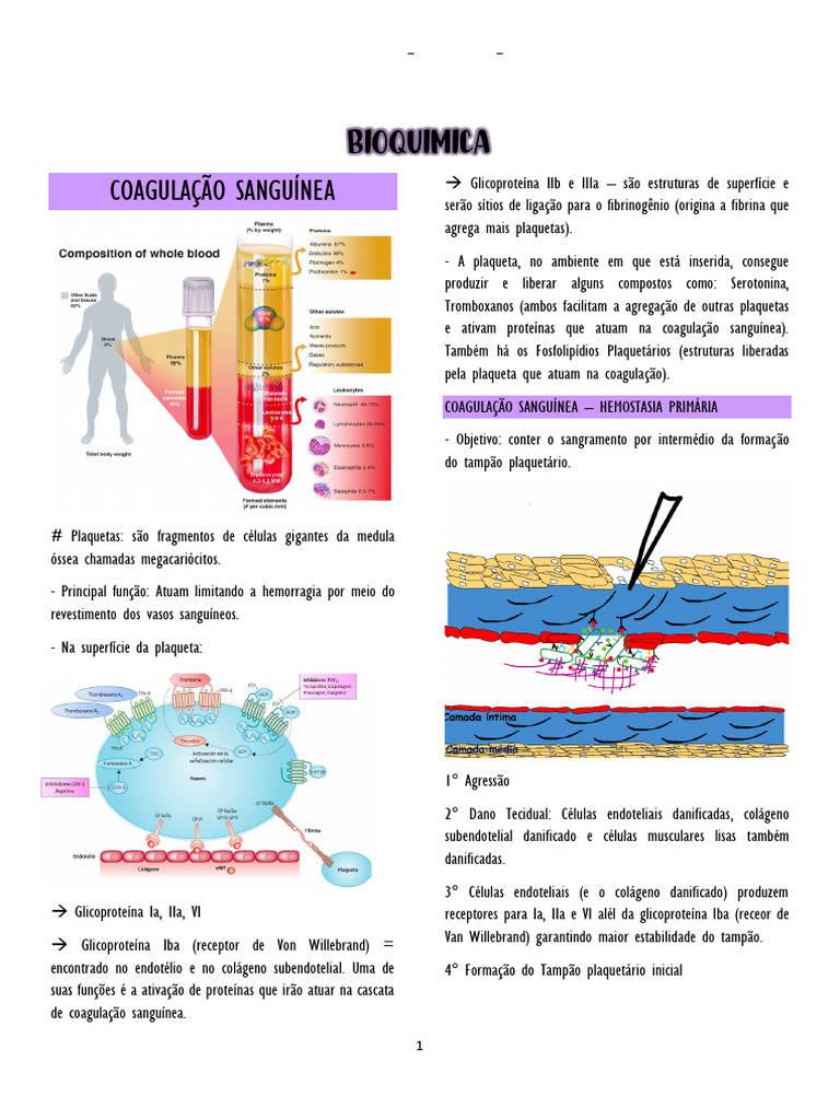 Coagulação Sanguínea - ESTELA MEDUP TXIX | PDF | Coagulação | Plaquetas ...