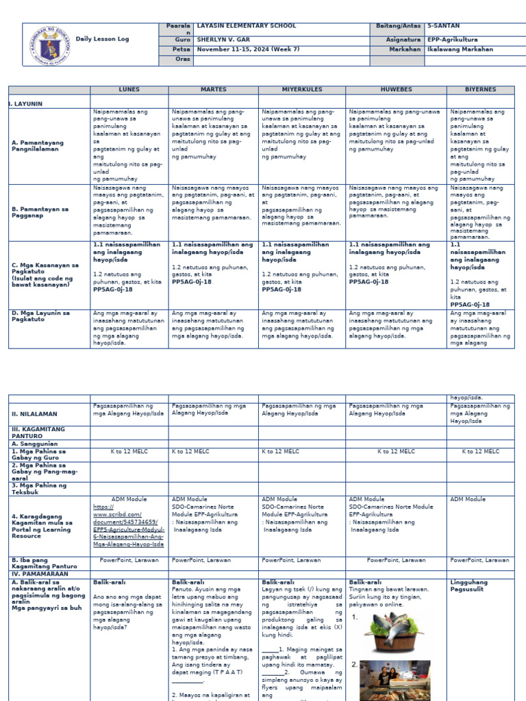 DLL Week 7 Epp New q2 | PDF