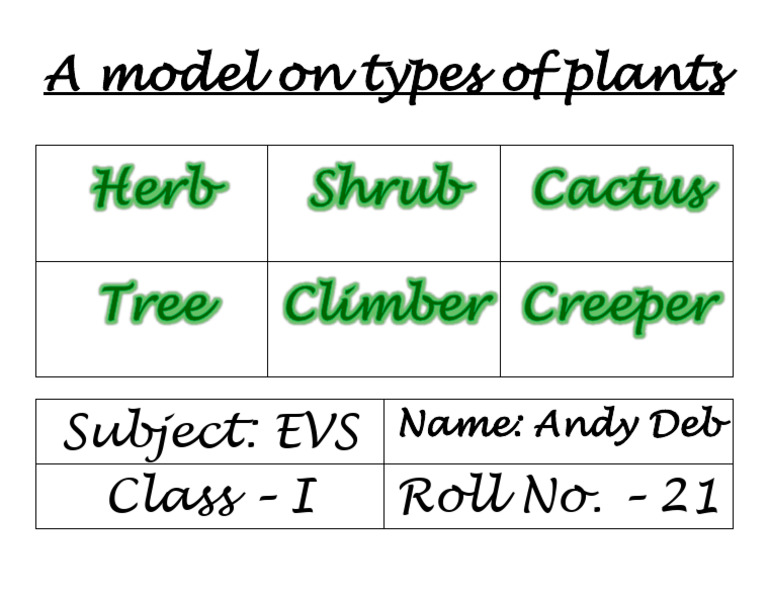 A Model On Types of Plants | PDF
