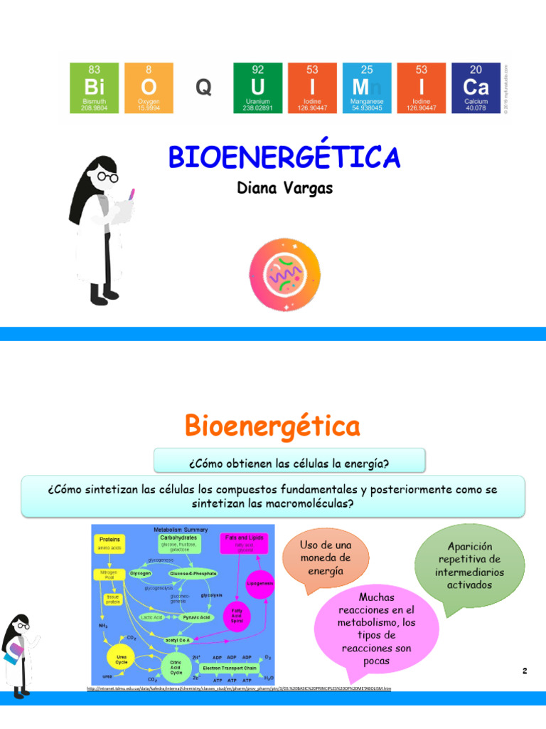Fundamentos de Bioenergética y Metabolismo | PDF | Bioenergética ...