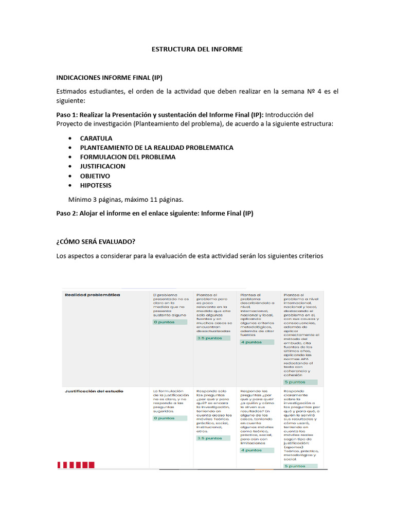 Estructura del Informe Final (IP) | PDF