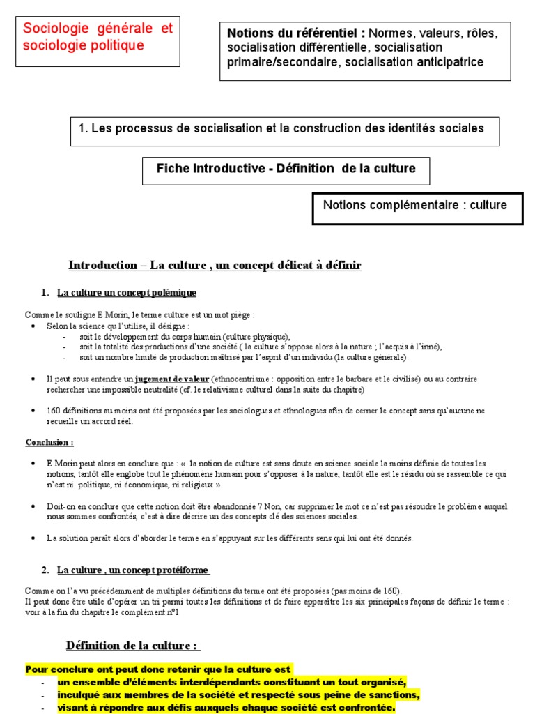 Comment Devenons Nous Des Acteurs Sociaux Par Rapport Au Schéma Les Processus de Socialisation Et La Construction Des Identités Sociales |  PDF