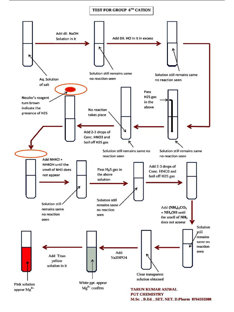 Salt Analysis | PDF