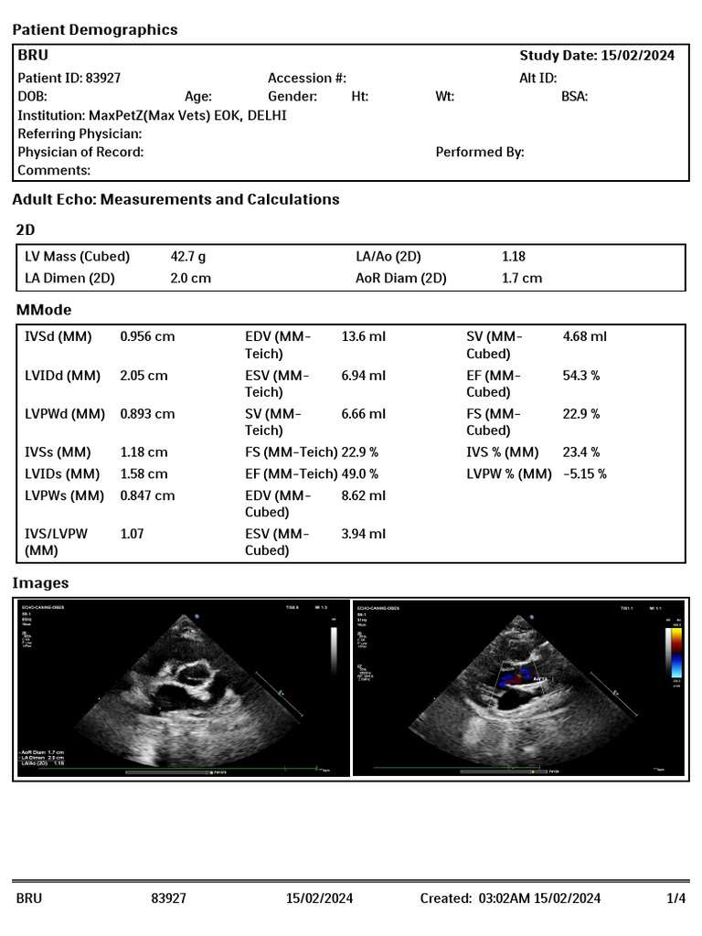 Echocardiography Report Summary | PDF | Science & Mathematics