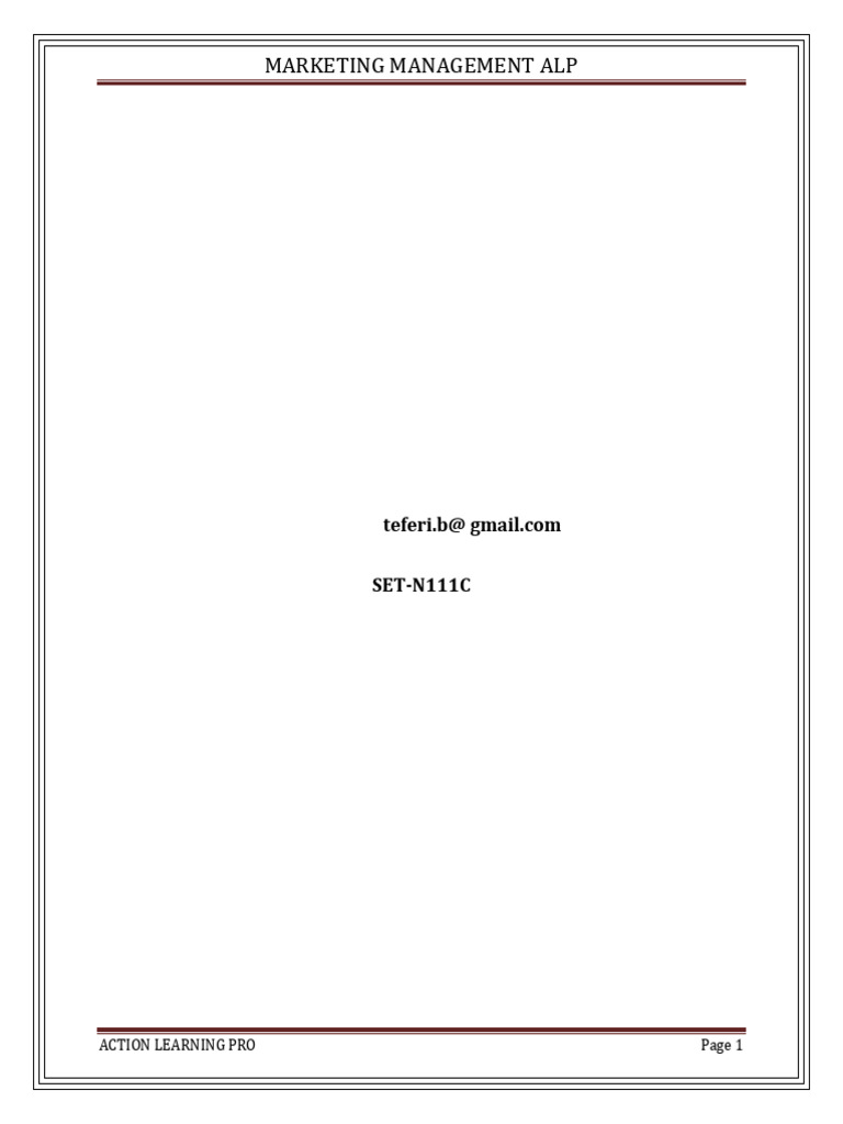 Introduction Docx Alp Pdf Digital Marketing Focus Group