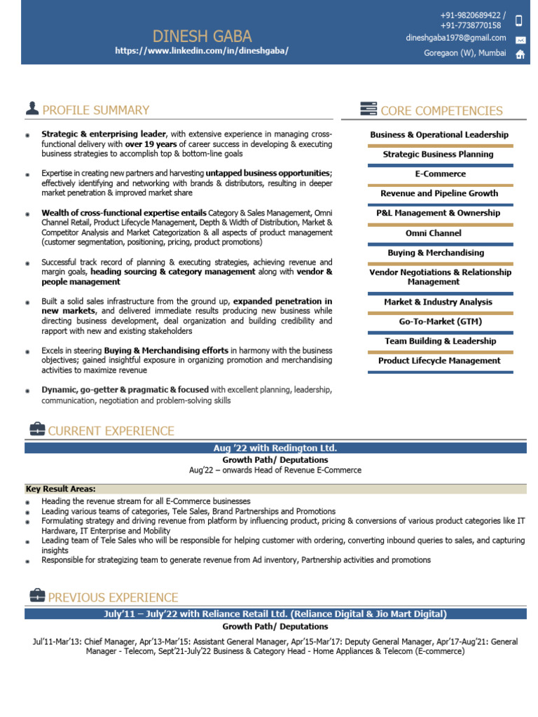 E-Commerce Leadership Profile of Dinesh Gaba | PDF | Retail | E Commerce