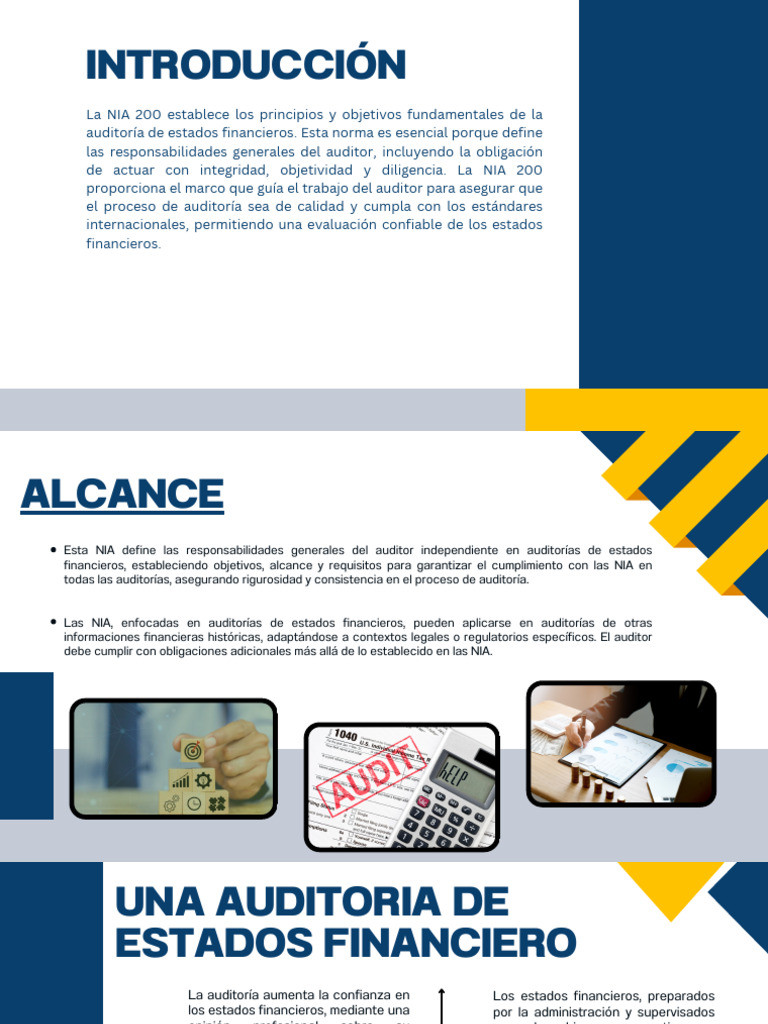 NIA 200: Principios de Auditoría Financiera | PDF | Auditoría | Contralor