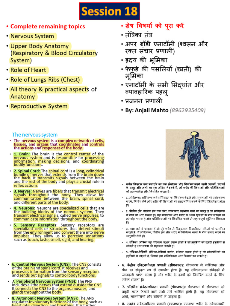 Session 18 PDF | PDF