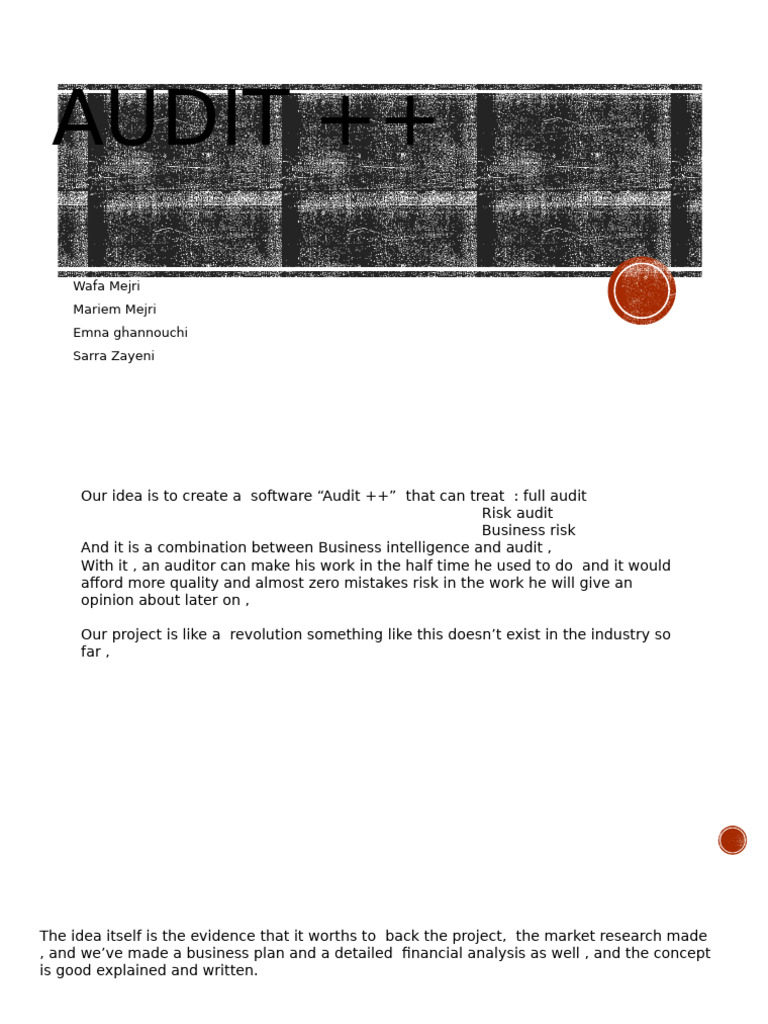 Audit Software for Efficiency | PDF