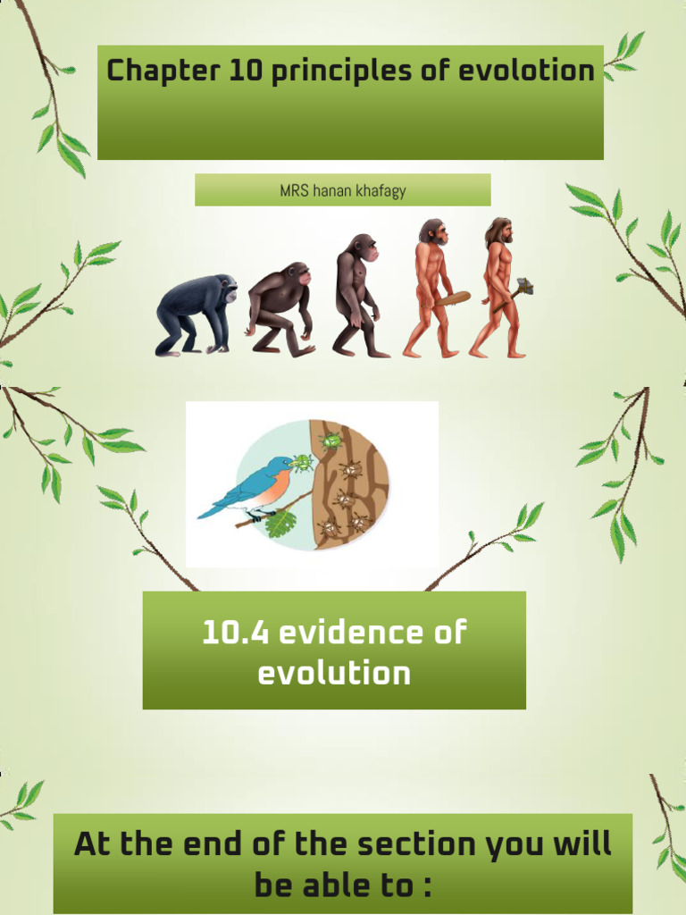 10.4 Evidence of Evolution - 051234 | PDF | Homology (Biology) | Zoology
