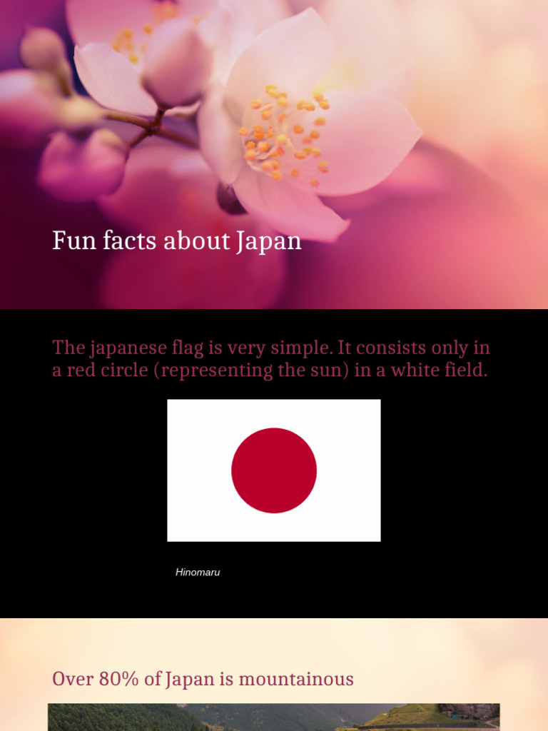 20 Fun Facts About Elephants