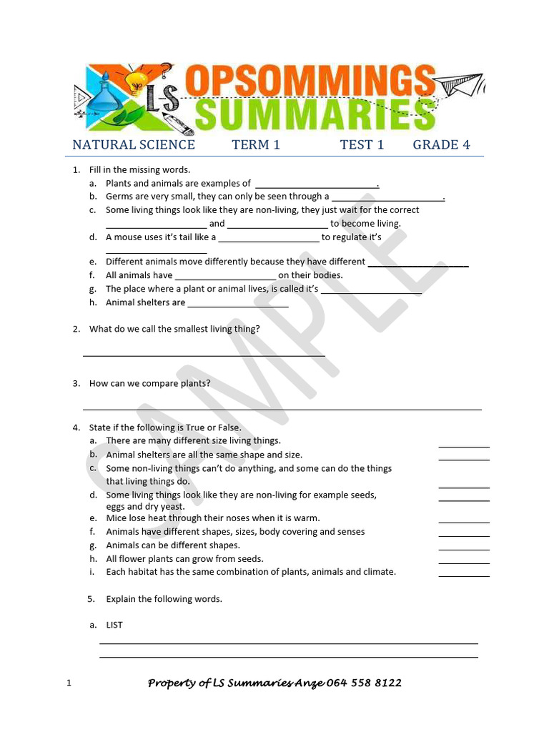 Grade 4 Natural Science Term 1 Tests | PDF | Water | Liquids