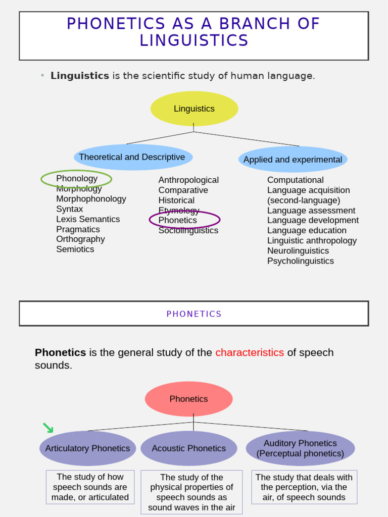 Overview of Phonetics and Sounds | PDF | Phonetics | Linguistics