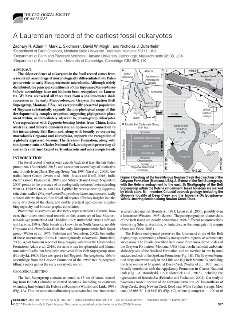 Earliest Eukaryotes from Greyson Formation | PDF | Fossil | Geological ...