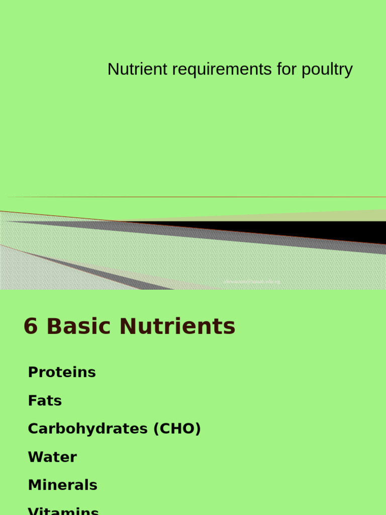 POULTRY FEED AVAILABILITY AND NUTRITION IN DEVELOPING visual data 3