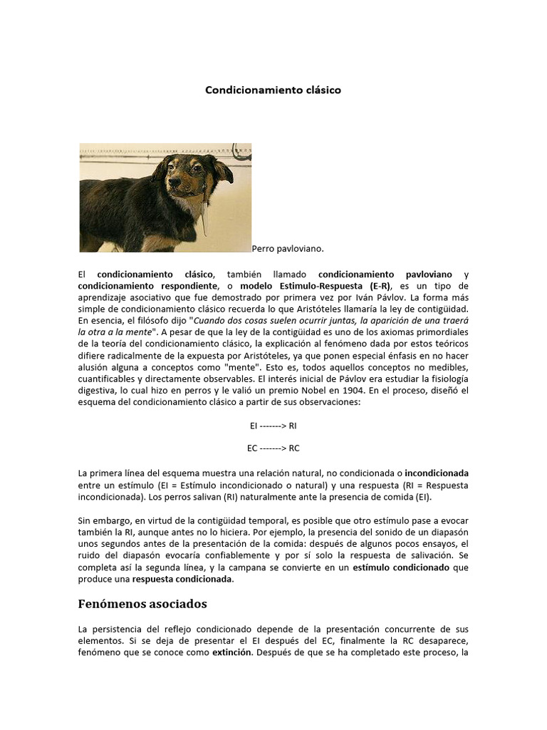 Condicionamiento Clásico de Pavlov | PDF | Aprendizaje | Inhibidor de ...