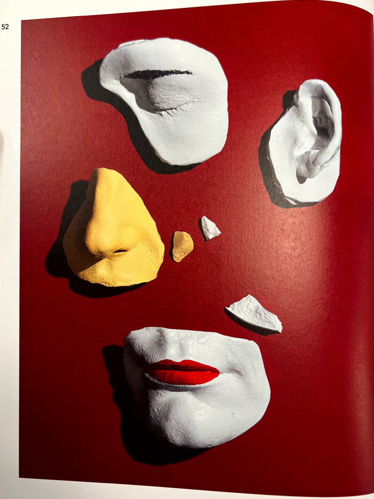The Still Life | PDF | Optics | Techniques