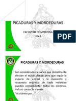 Picaduras y Mordeduras (Modo de Compatibilidad)