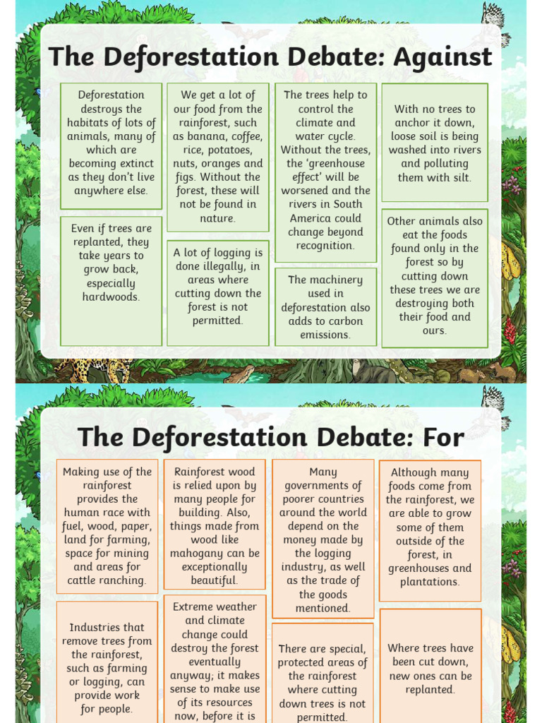 Deforestation: Pros and Cons Explained | PDF | Deforestation | Rainforest