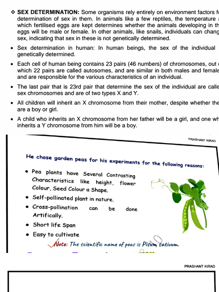 Class 10 Heredity Extended Notes | PDF | Dominance (Genetics) | Zygosity