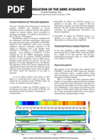 Download ARAGEN Characterization of the Gene AT2G45570 by Cristobal Gallardo SN79131991 doc pdf