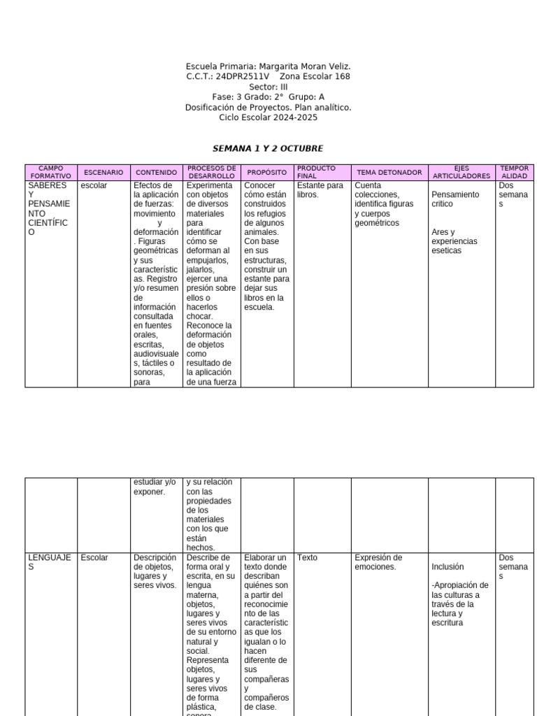 Plan Analitico Segundo | PDF | Educación en artes liberales