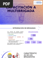 NOM 002 Brigadas Multifuncionales | PDF | Defensa Civil