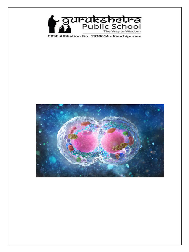 PHASES OF THE CELL CYCLE ARTICLE visual data 8