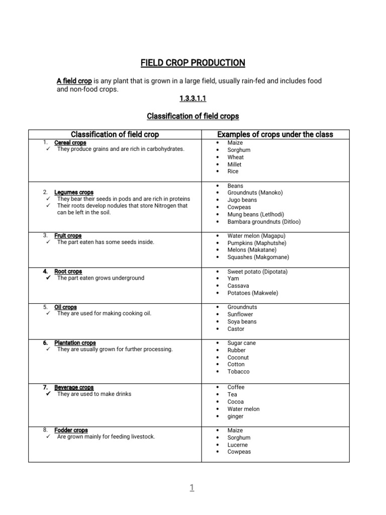 Field Crop Production Overview | PDF | Vegetables | Staple Foods
